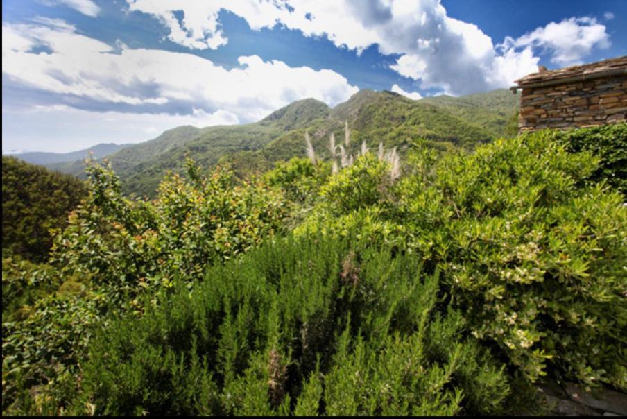 Casa Costa - Ruhe Und Natur Pur Carpasio Exteriör bild